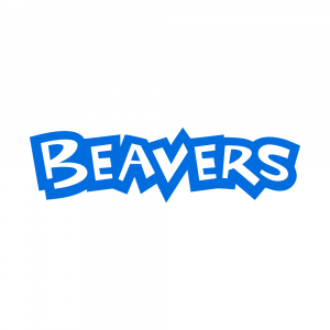 https://www.scouts.org.uk/volunteers/running-your-section/running-a-beaver-colony/beaver-socially-distanced-activities/